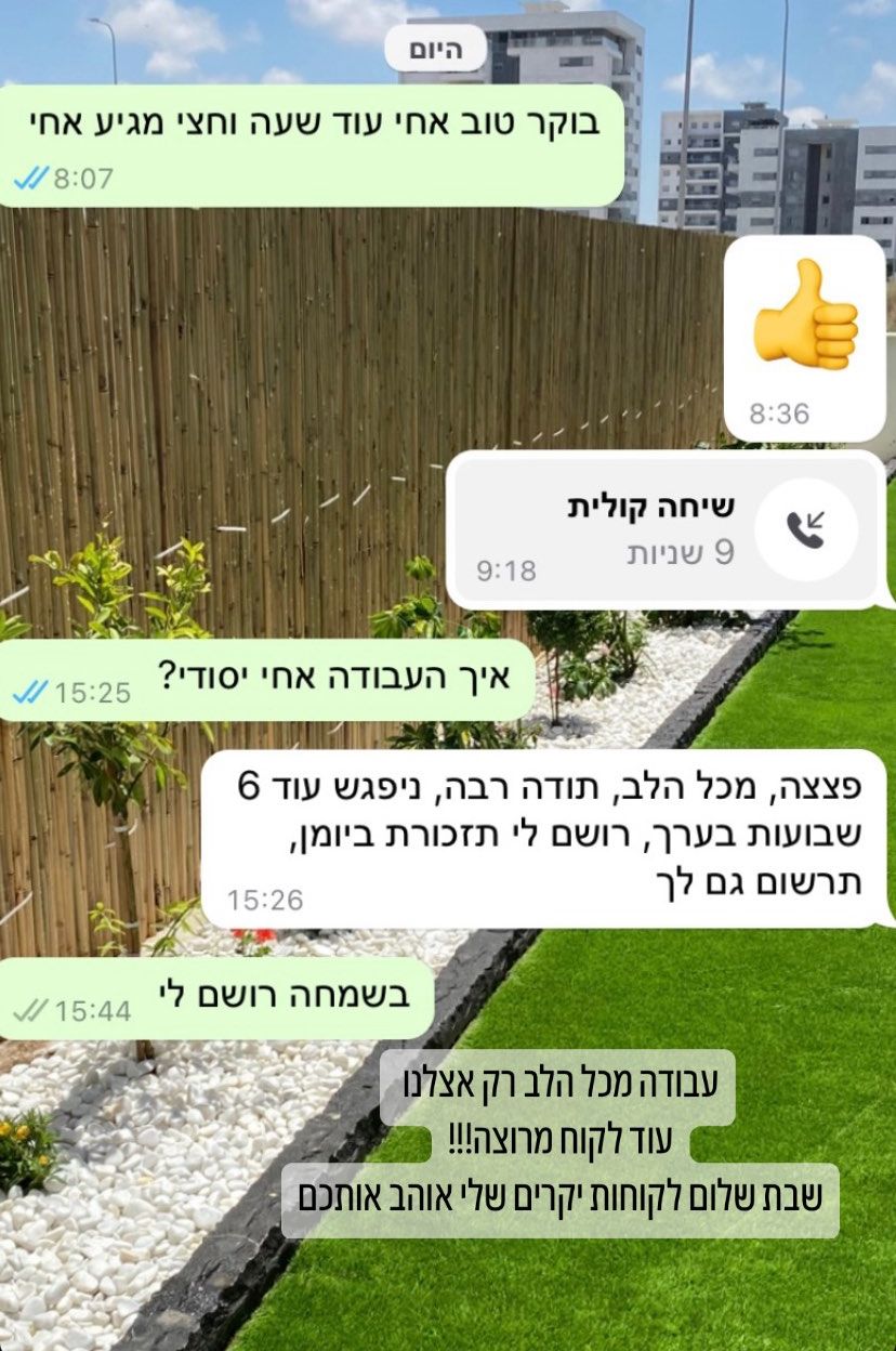 המלצה 1